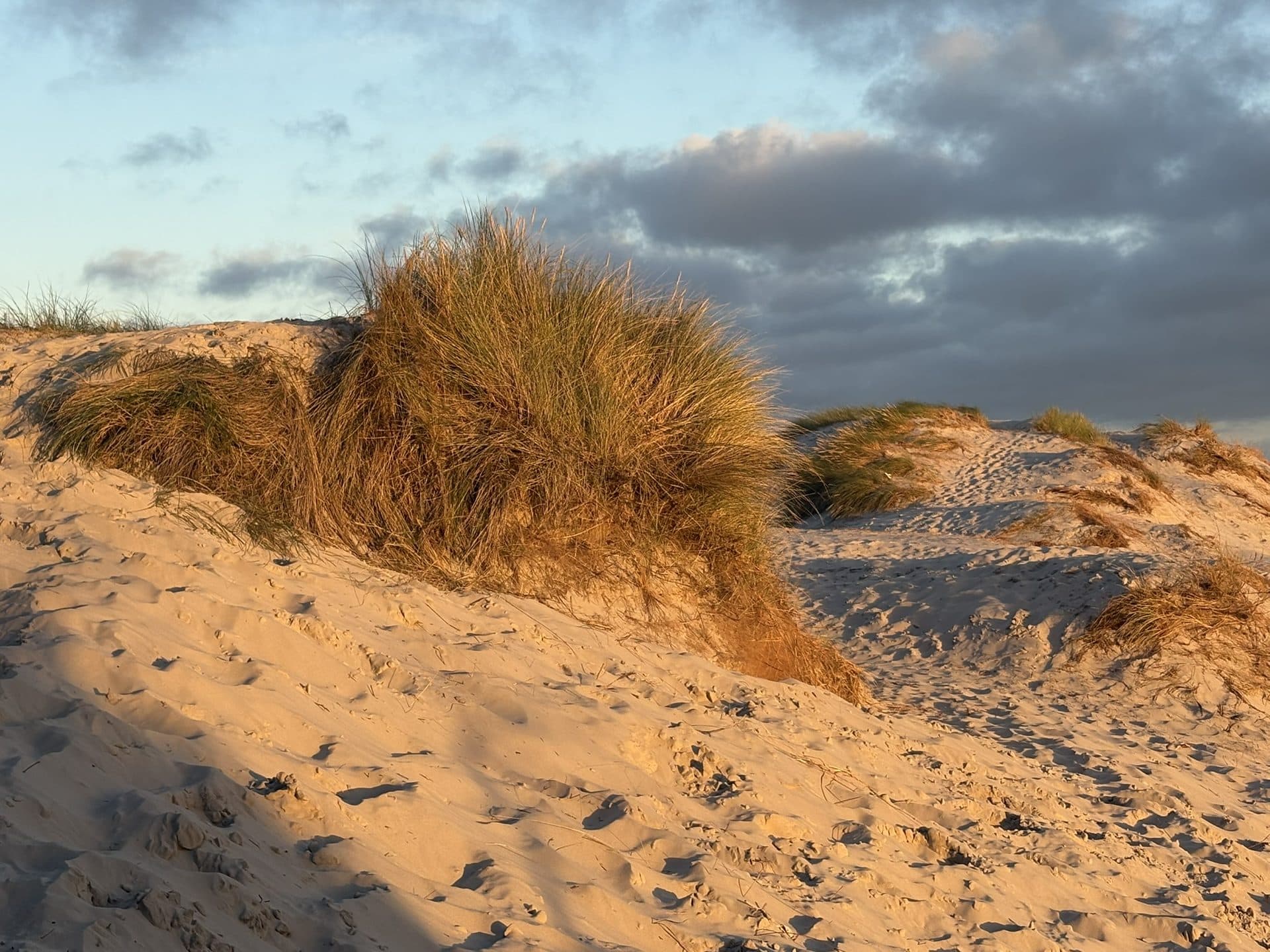 Terrasse ved Dueodde Strand Ferielejligheder