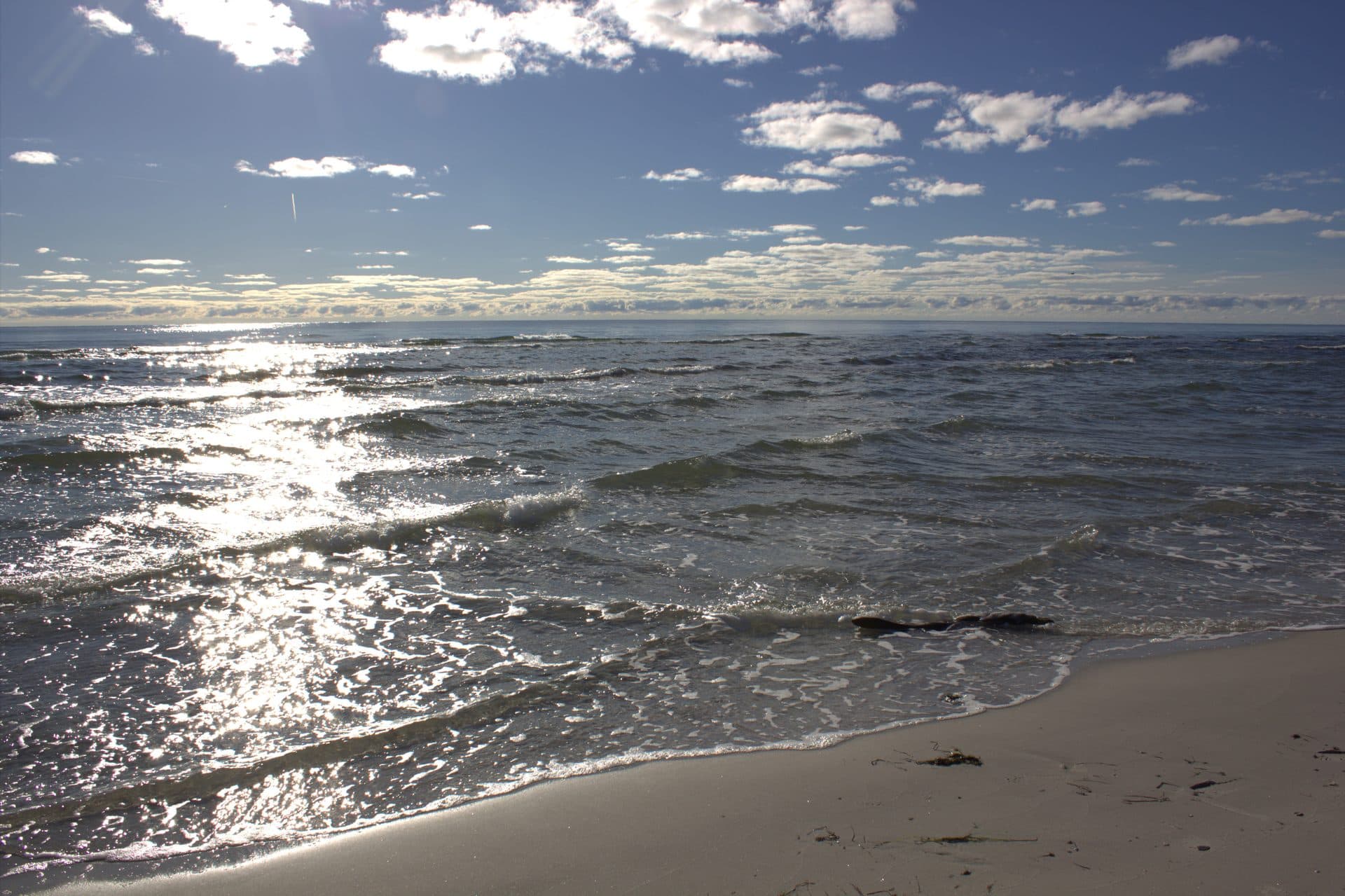 Dueodde Strand 1