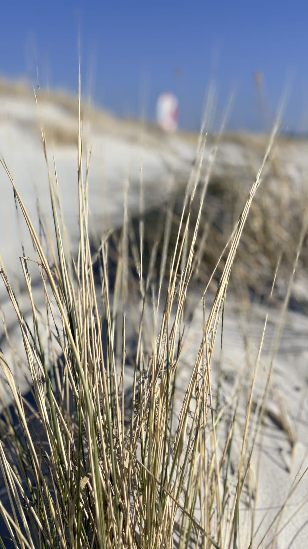Dueodde Strand – havet og sandstranden